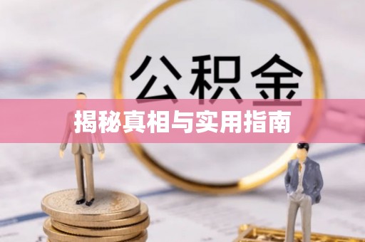 舟曲揭秘真相与实用指南