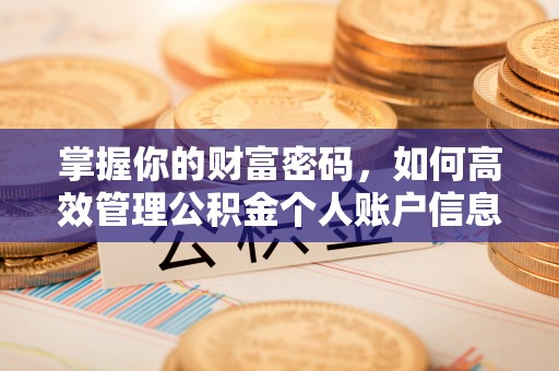 舟曲掌握你的财富密码，如何高效管理公积金个人账户信息