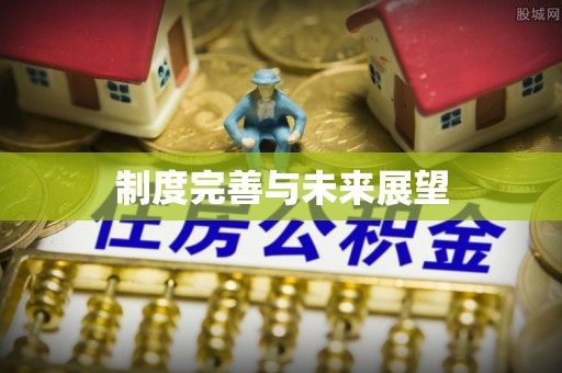 舟曲制度完善与未来展望