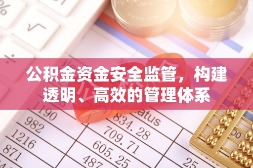 舟曲公积金资金安全监管，构建透明、高效的管理体系