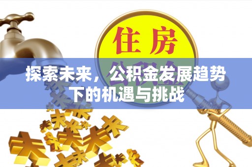 舟曲探索未来，公积金发展趋势下的机遇与挑战