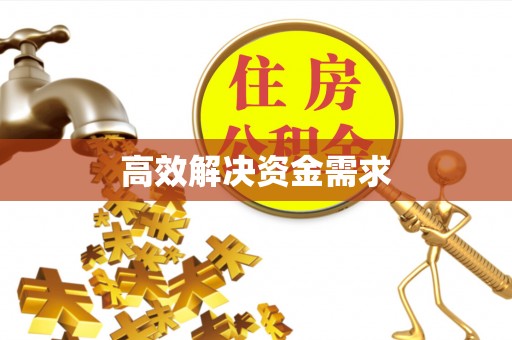 舟曲高效解决资金需求