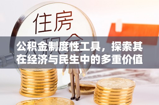舟曲公积金制度性工具，探索其在经济与民生中的多重价值